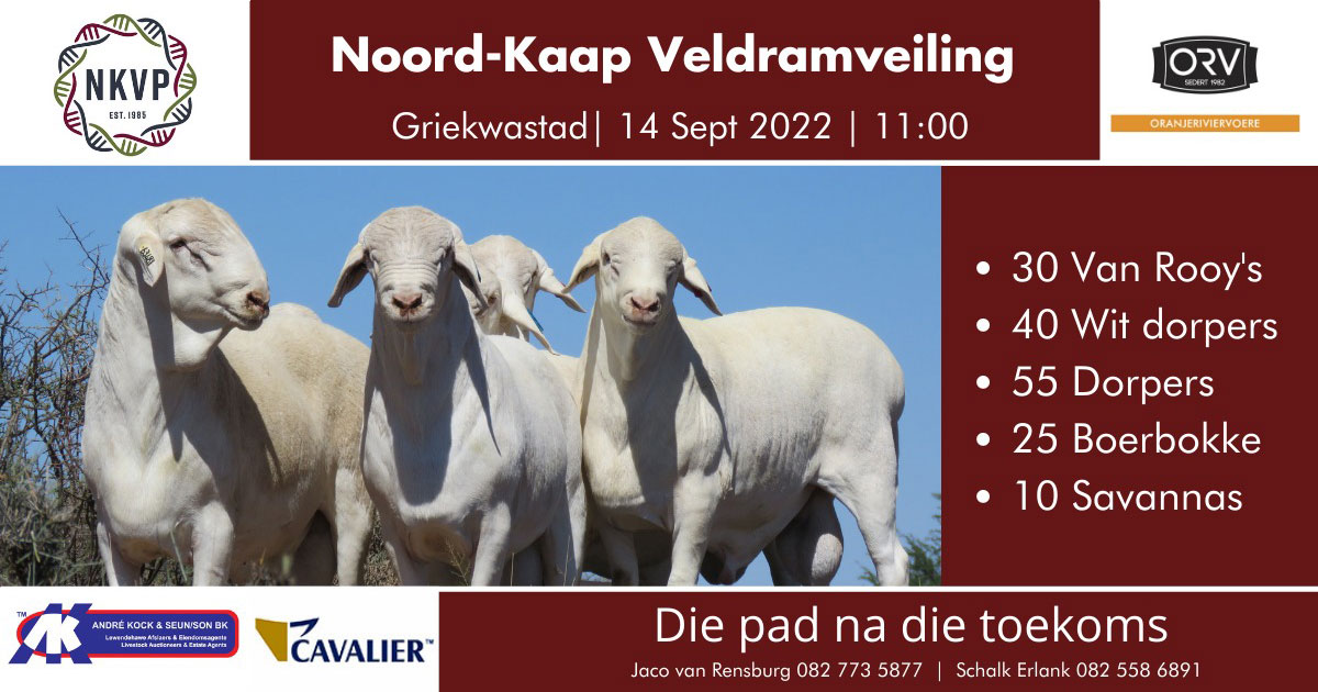 Griekwastad 2021