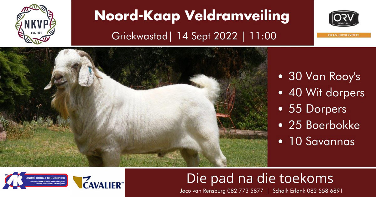 Griekwastad 2022