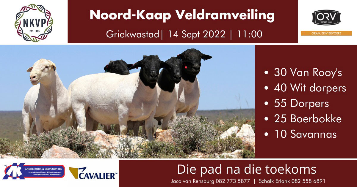 Griekwastad 2022